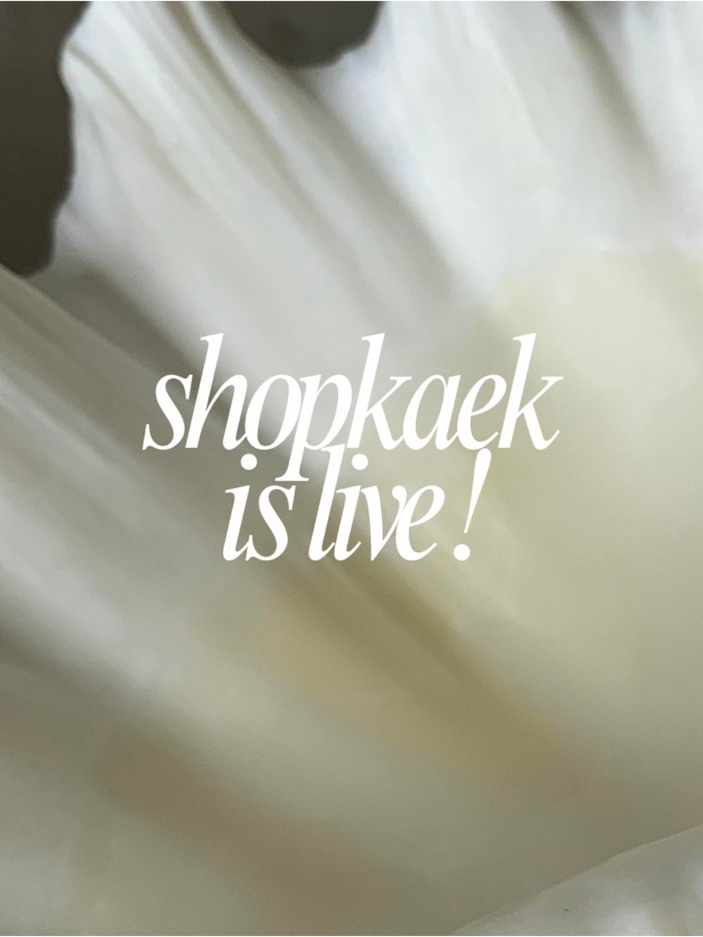 shopkaek live show notification 🎀
